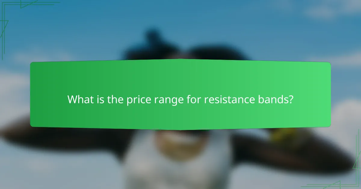 What is the price range for resistance bands?
